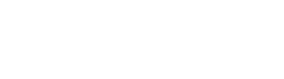 Logo sem fundo - Smaniotto (1)